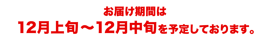お届け期間は12月上旬～12月中旬を予定しております。