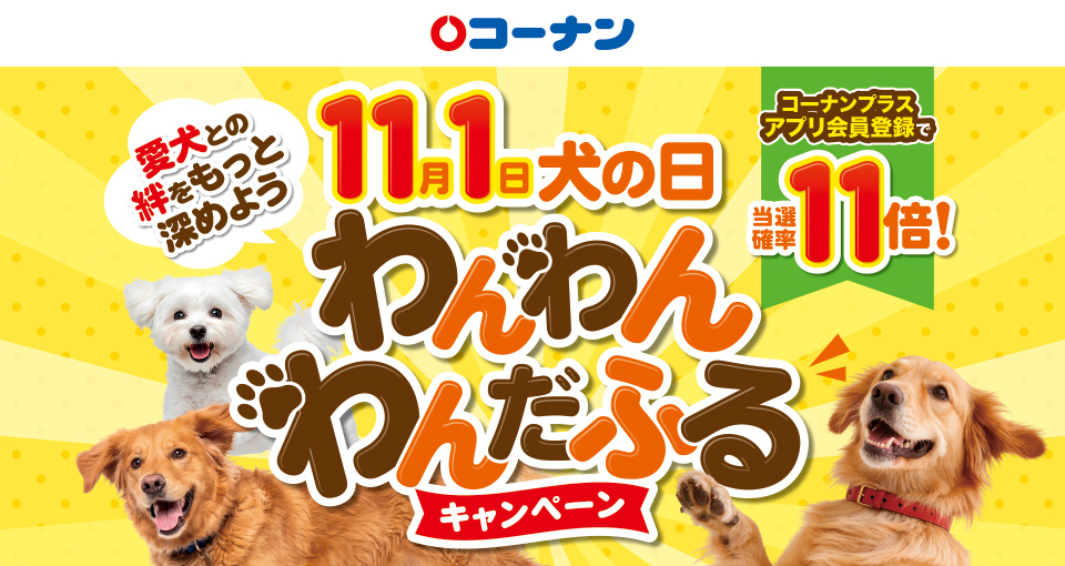 タイトル