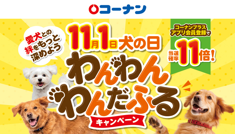 タイトル