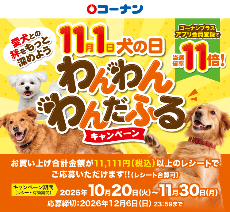 タイトル