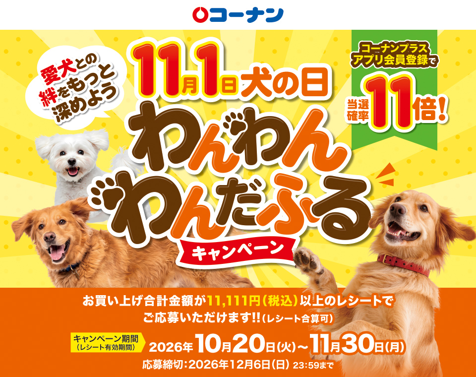 タイトル